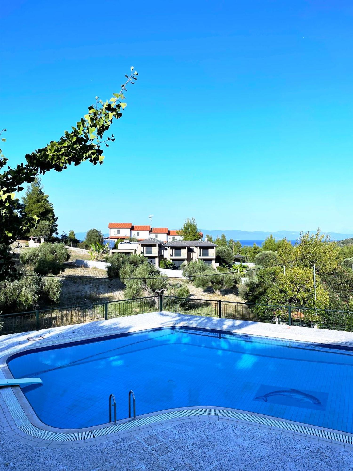 Mikael Pool Villa Paliouri Bagian luar foto
